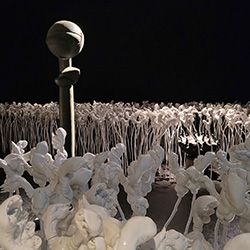 Landshut Stadtführungen Sieglinde Brams